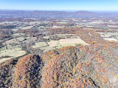 5360 Old Snapps Ferry Rd, Limestone, TN 37681 - photo 6