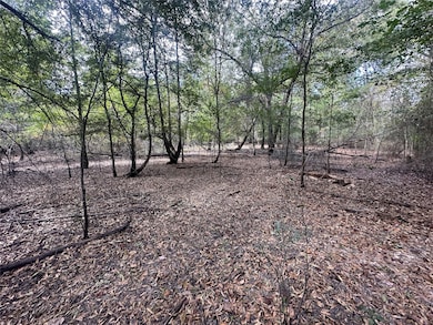 0 Fm 645 unit 10982756, Palestine, TX 75803 - photo 3