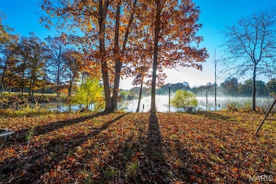 1847 Jaketown Rd, Lagrange Township, IL 62019 - photo 6