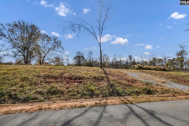 0 Bridge View Ct unit 622664, Newberry, SC 29127 - photo 2