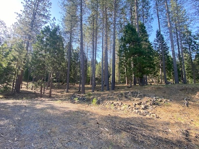 Driveway Parking Area