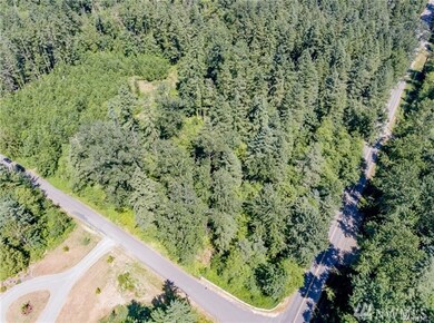 9703 274th St E, Graham, WA 98338 - photo 4