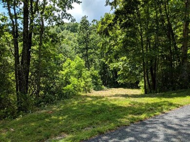 Level entrance from Trillium Lane.  South views to