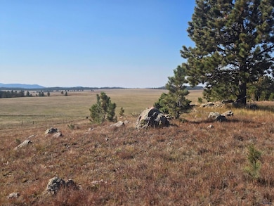 11815 W Argyle Rd, Custer, SD 57730 - photo 4