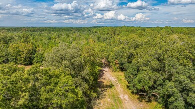 0 Yaremich Rd Lot 3, Moncks Corner, SC 29461 - photo 6
