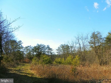 250 Lakeview Rd, Newport, PA 17074 - photo 4