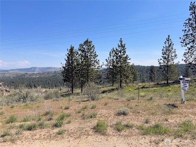 2 Hart Rd N, Davenport, WA 99122 - photo 7