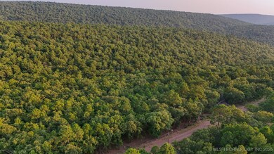 13 Moonshine Dr, Clayton, OK 74536 - photo 5