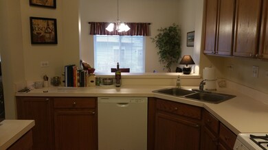 263 Windsor Ct unit B, South Elgin, IL 60177 - photo 4