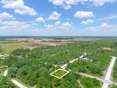 1210 Archie Summers Rd, Placid Lakes, FL 33852 - photo 4