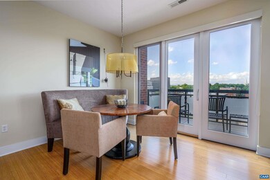200 Garrett St unit 607, Charlottesville, VA 22902 - photo 7