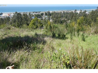 29685 Bear Mountain Rd unit 700, Gold Beach, OR 97444 - photo 2