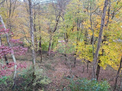 1873 Teton Ct, Sugar Grove, OH 43155 - photo 5