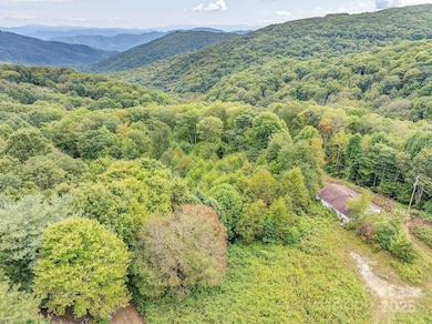 7130 Max Patch Rd, Hot Springs, NC 28743 - photo 2