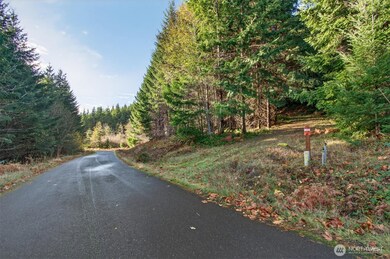 0 Knights Bridge Rd unit NWM2455713, Ariel, WA 98603 - photo 3