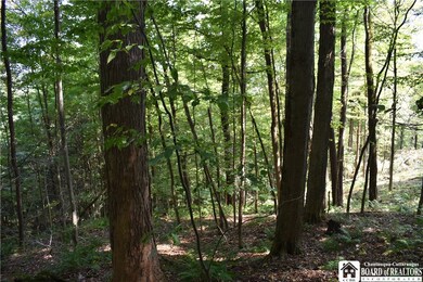 0 Route 380 unit R1636418, Ellicott, NY 14701 - photo 4