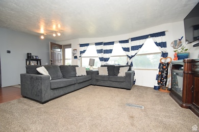 Carpeted living room featuring a textured ceiling