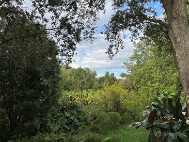 View from the pool