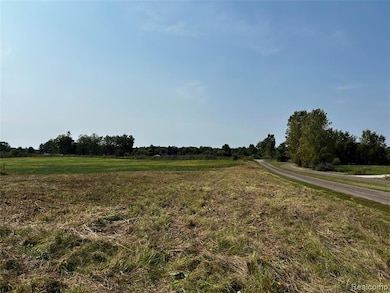 Parcel N N Hacker Rd, Hartland Township, MI - photo 3