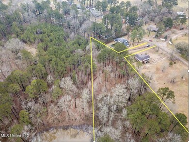 Screenshot 2025-02-25 at 1.03.16 PM