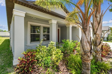 10822 Crushed Grape Dr, Riverview, FL 33578 - photo 7