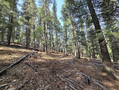 0 Gold Nuggett Alley unit 2 170304, Cloudcroft, NM 88317 - photo 7