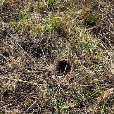 Tract 2 E 1290 Rd, McCurtain, OK 74944 - photo 4