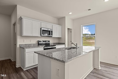 737 Shepard Rock Dr, Zebulon, NC 27597 - photo 5