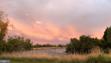 3010 Love Point Rd, Stevensville, MD 21666 - photo 2