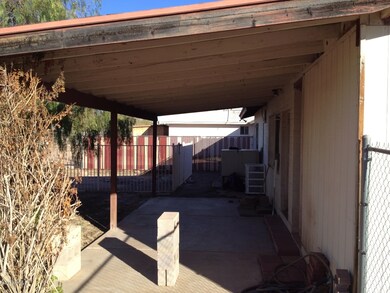 photo (1)