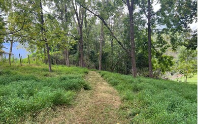 Additional View