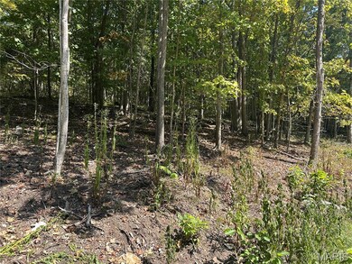 2000 Lot 3 Crossroads Rd, Joachim Township, MO 63012 - photo 4