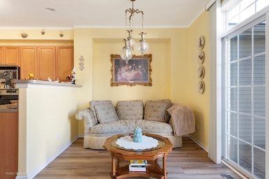 20524 Mcgilvray Dr, Crest Hill, IL 60403 - photo 7