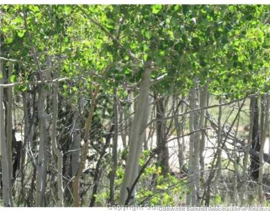 825 Osprey Rd, Como, CO 80432 - photo 7