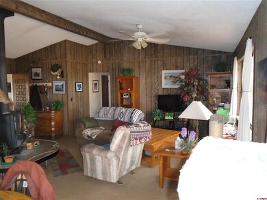 690 SW 8th Ave, Cedaredge, CO 81413 - photo 6