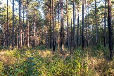 Scarboro Landing, Millen, GA 30442 - photo 7