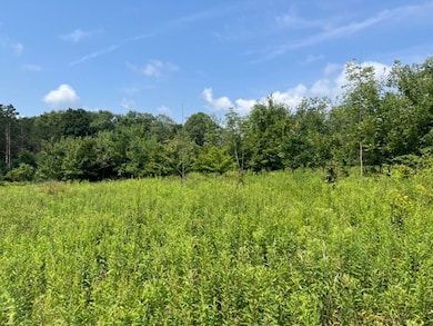 00 Buckley Rd Lot unit WP001, Grand Valley, PA 16420 - photo 4