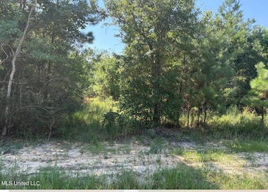 0 Winding Way Dr, Pass Christian, MS 39571 - photo 2