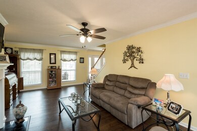 New pet protective high grade laminate flooring.