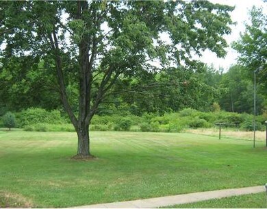 Yard/Garden.