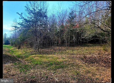 Lot 117 Paddock Ln, Louisa, VA 23093 - photo 2