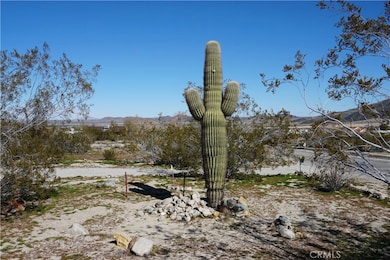 6716 Mount Shasta Ave, Joshua Tree, CA 92252 - photo 4