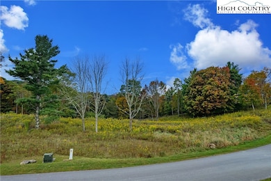 55 Eagle Creek Trail, Beech Mountain, NC 28604 - photo 4