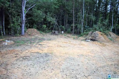 10003 Mize Rd, Remlap, AL 35133 - photo 6