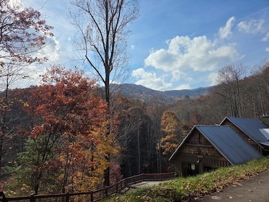 Lot 134 Diamond Falls Estates, Franklin, NC 28734 - photo 5