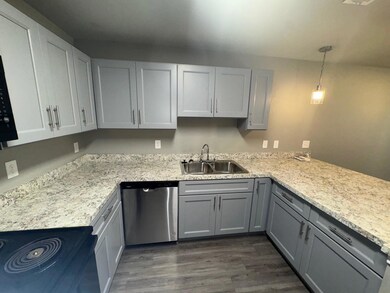 Kitchen featuring stainless steel dishwasher, dark