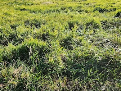 300 W Front St, Aberdeen, WA 98520 - photo 3