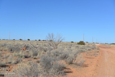 Snowflake Heights 007