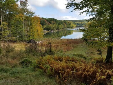 196 Fawn Lake Dr, Lackawaxen Township, PA 18428 - photo 5