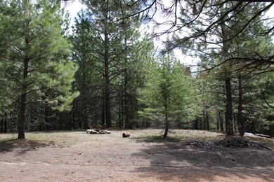 Firepit in Open Area